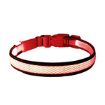 USB Rechargeable LED Dog Collar Lights