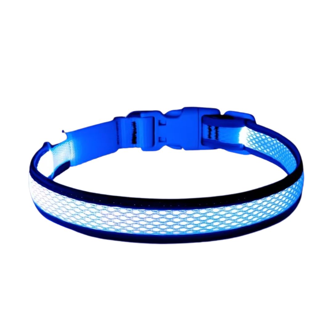 USB Rechargeable LED Dog Collar Lights