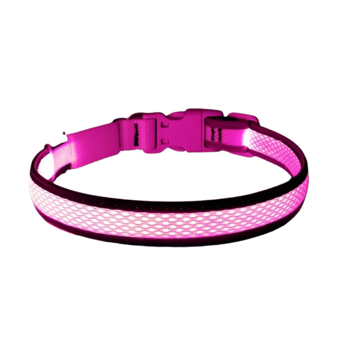USB Rechargeable LED Dog Collar Lights