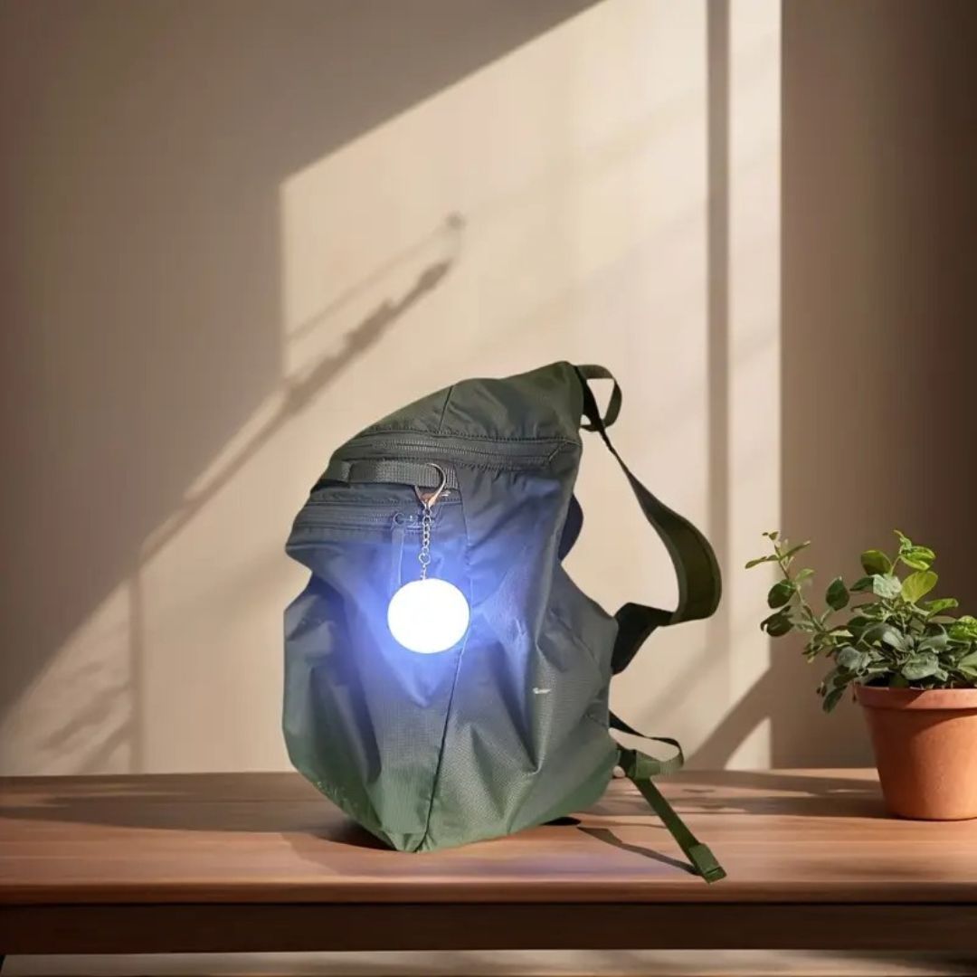 LED Handbag Light