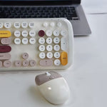 Wireless Keyboard and Mouse Set