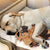 Pet Supplies