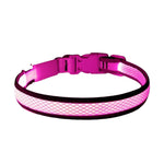 USB Rechargeable LED Dog Collar Lights