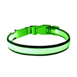 USB Rechargeable LED Dog Collar Lights