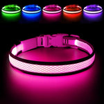 USB Rechargeable LED Dog Collar Lights