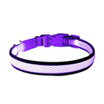 USB Rechargeable LED Dog Collar Lights