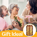 Solar Lanterns Outdoor