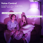 Floor Lamp for Living Room