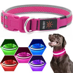 USB Rechargeable LED Dog Collar Lights