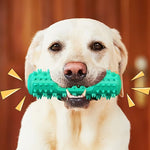 Dog Chew Toy