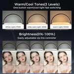 Crescent Moon LED Desk Lamp