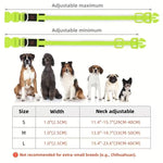 USB Rechargeable LED Dog Collar Lights