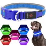 USB Rechargeable LED Dog Collar Lights