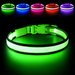 USB Rechargeable LED Dog Collar Lights