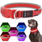 USB Rechargeable LED Dog Collar Lights