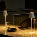 Adjustable Portable Desk Lamp