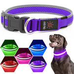 USB Rechargeable LED Dog Collar Lights